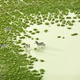 Illustration for article titled Fantastic aerial photos of Botswana make me wish I was there right now